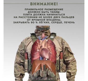 Как правильно подогнать бронежилет по фигуре: защищаем жизненно важные органы