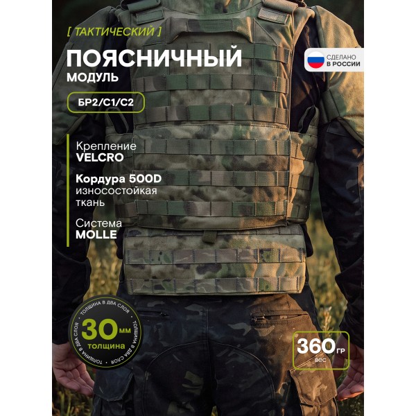Поясничный модуль Бр2, С1, С2, мох