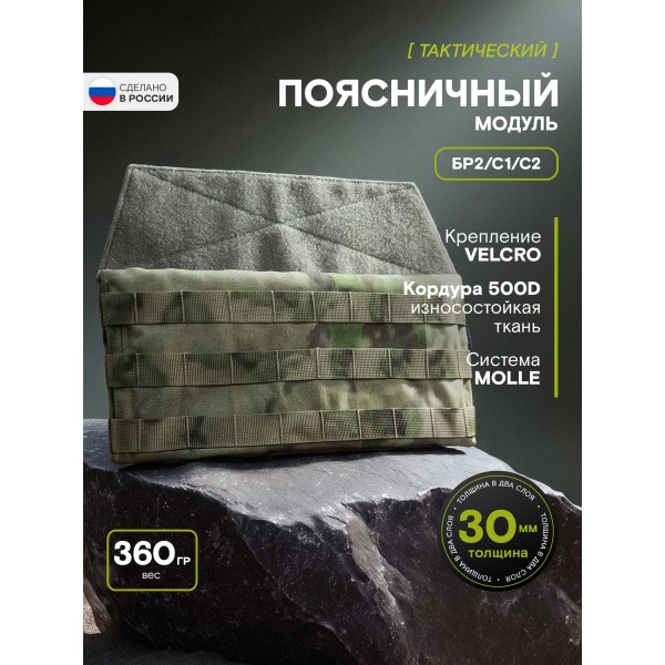 Поясничный модуль Бр2, С1, С2, мох