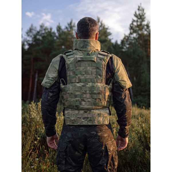 Поясничный модуль Бр2, С1, С2, мох
