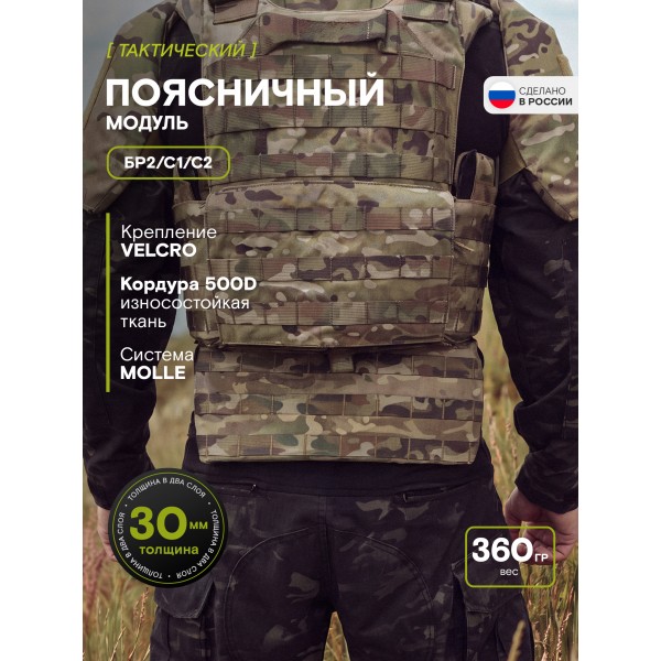 Поясничный модуль Бр2, С1, С2, мультикам
