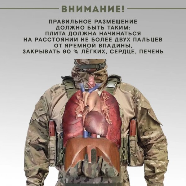 Баллистические пакеты ПАНЦИРЬ 3.1  Бр1, С1, С2 размер L